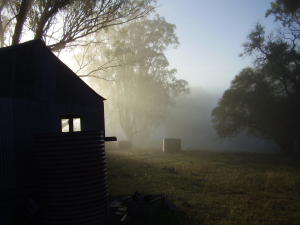 sunrise